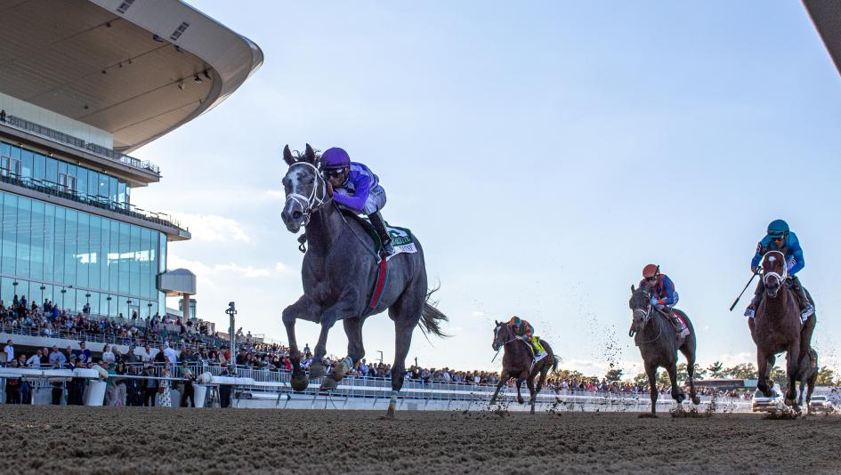 New York Showcase Day, Belmont Park, horse racing, America's Best Racing, ABR